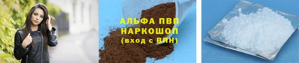 ПСИЛОЦИБИНОВЫЕ ГРИБЫ Покачи