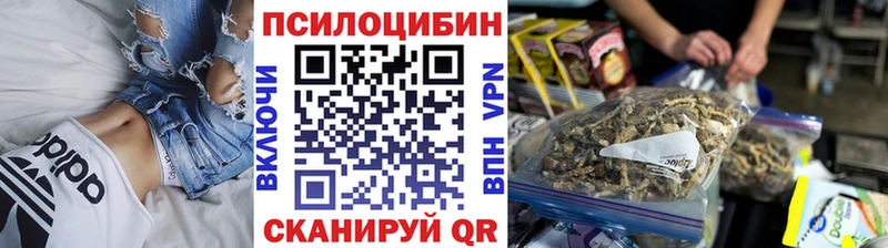 Псилоцибиновые грибы мухоморы  продажа наркотиков  Покровск 